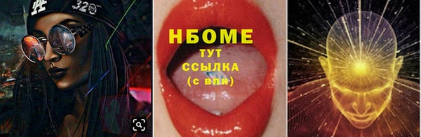 прущие грибы Щучье
