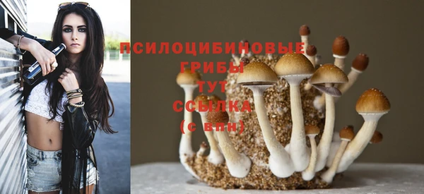 мяу мяу мука Снежногорск