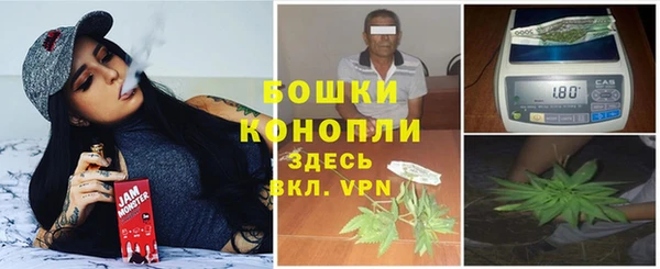 Альфа ПВП Горно-Алтайск