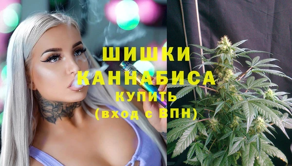 Альфа ПВП Горно-Алтайск