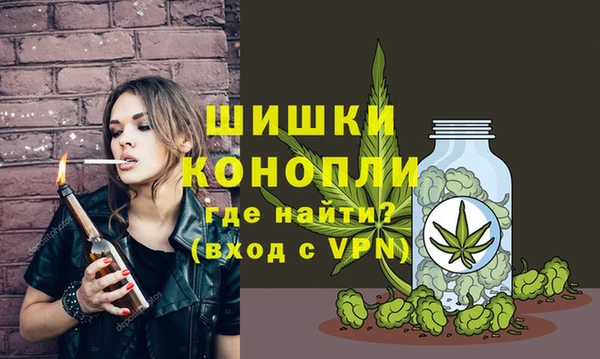 Альфа ПВП Горно-Алтайск