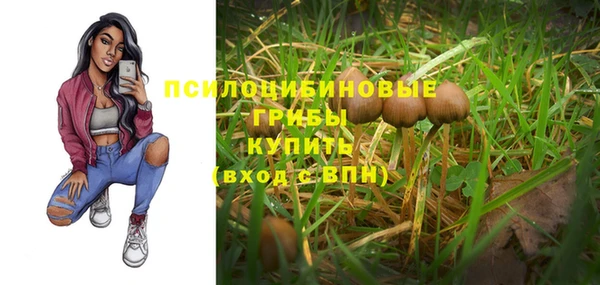 Альфа ПВП Горнозаводск